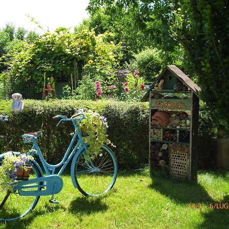 Bed & Bike Belfiore Montagnana  Εξωτερικό φωτογραφία